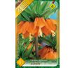 Fritillaria Imperialis - Aurora / 1ks v balení