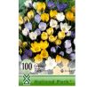 Crocus species mixed 100 ks v balení