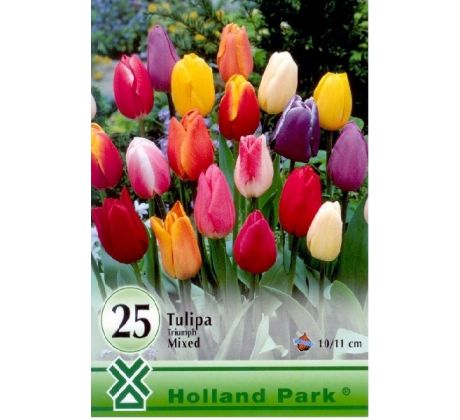 Tulipa triumph mixed -25 ks