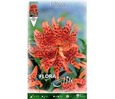 Lilium - Flore Pleno/2ks