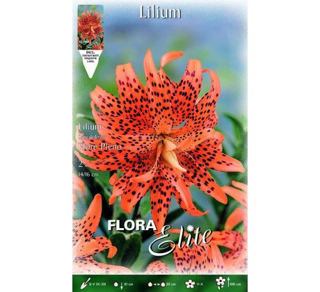 Lilium - Flore Pleno/2ks