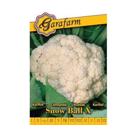 Karfiol Snow ball X - letný